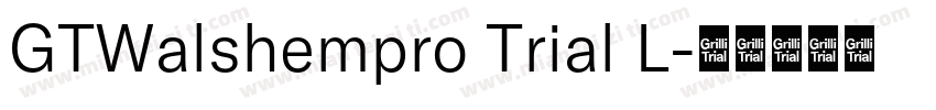GTWalshempro Trial L字体转换